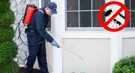 Bozyazı Böcek İlaçlama böcek ilaçlama ve haşere kontrolü — ilaclama-tr.com